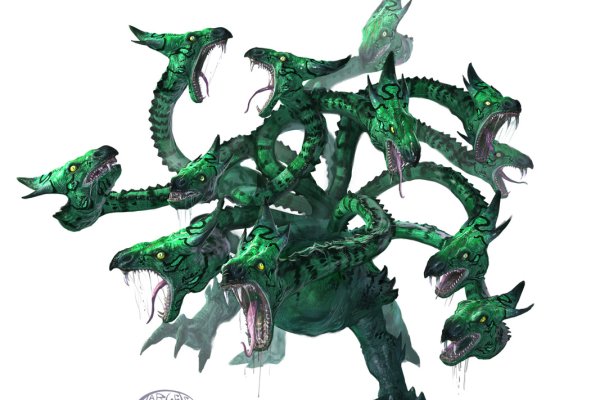 Kraken forum