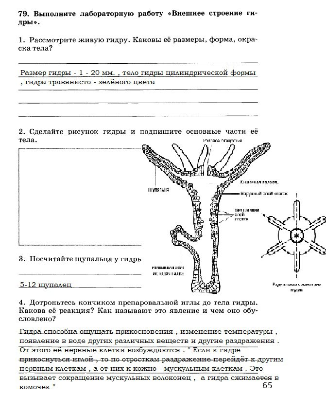 Кракен перейти