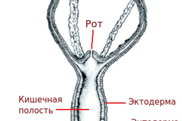 Кракен даркнет стор