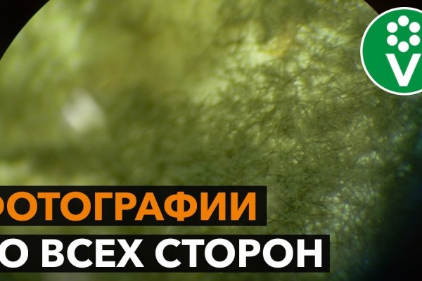 Магазин наркоты