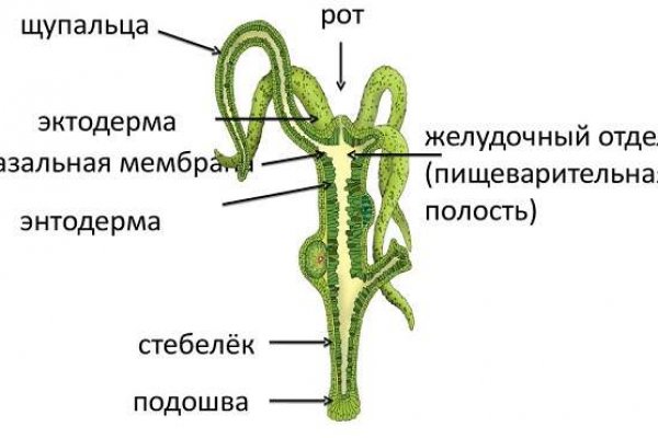 Кракен даркнет ссылка kraken link24 info